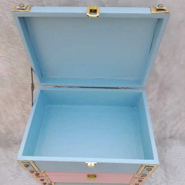 Leatherette Trunk box harneet open inside view